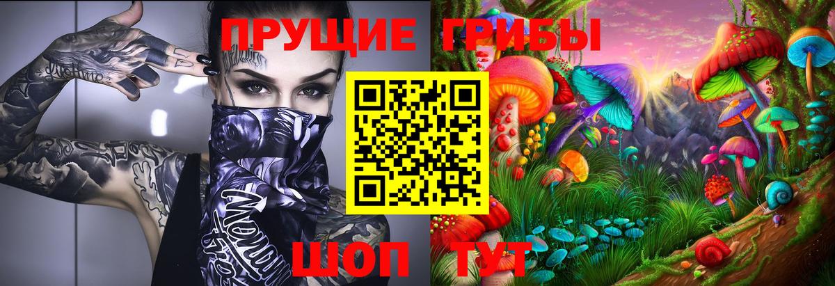Псилоцибиновые грибы ЛСД Ахтубинск
