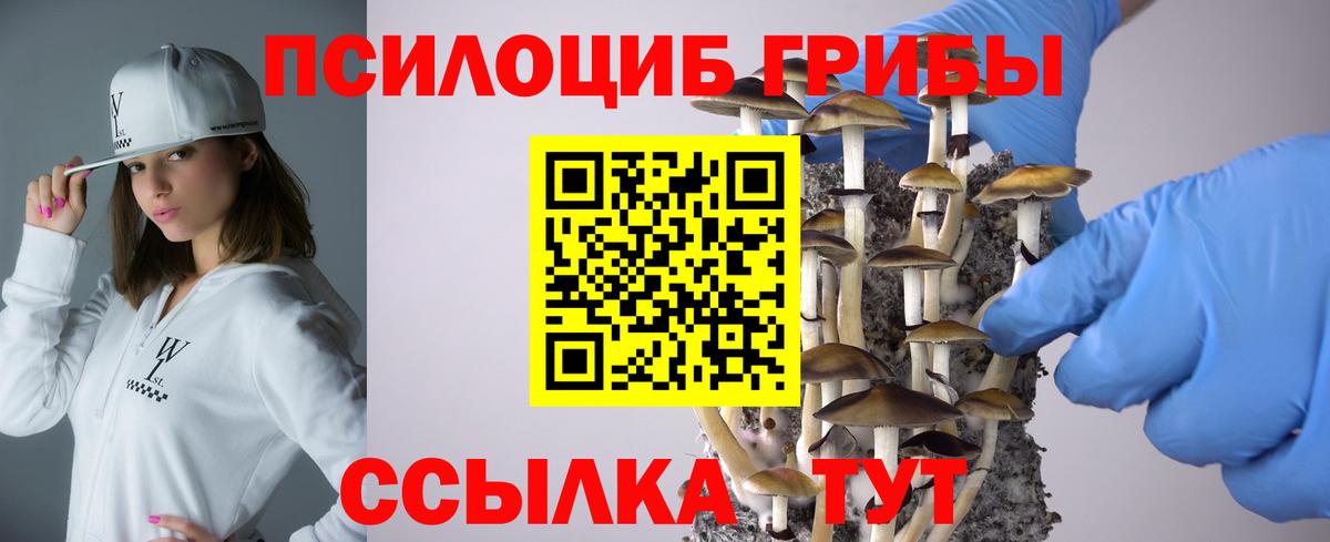 где продают   Вход с VPN  Ахтубинск  Галлюциногенные грибы Psilocybe  Галлюциногенные грибы Psilocybe 